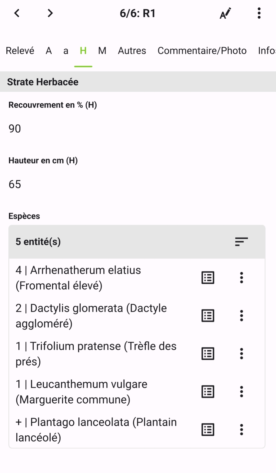 Onglet strate phytosociologique